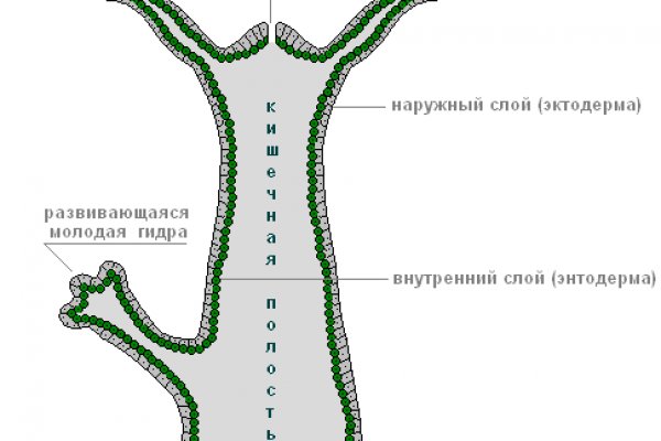 Омг омг ссылка телеграм